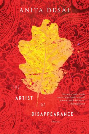 Cover of the book The Artist of Disappearance by Lindsay Faith Rech