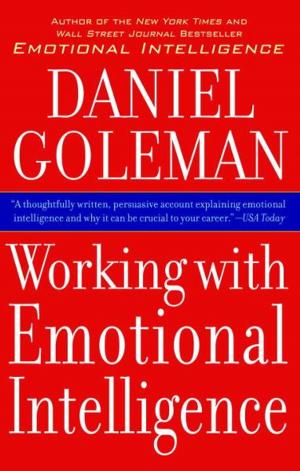 Book cover of Working With Emotional Intelligence