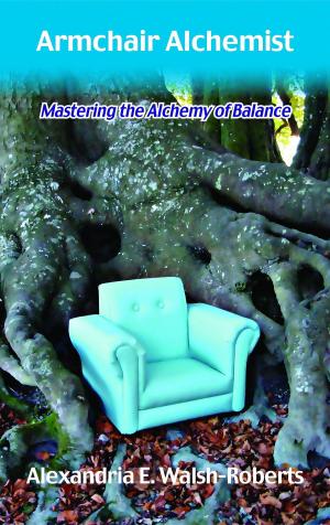 Book cover of Armchair Alchemist