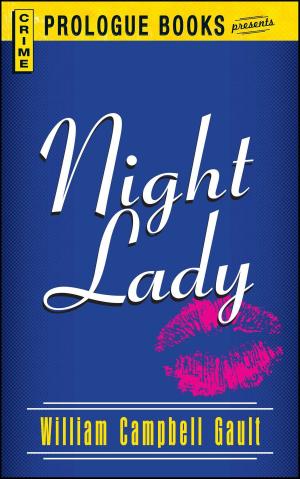 Cover of the book Night Lady by Jill Houk