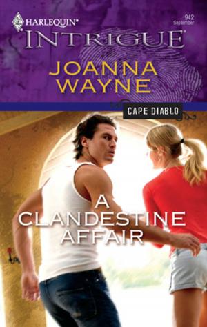 Cover of the book A Clandestine Affair by Linda Castle