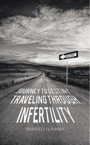 Book cover of Journey to Destiny, Traveling Through Infertility