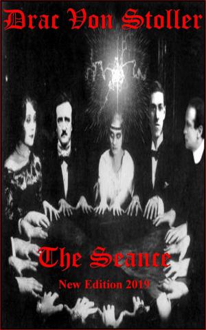 Cover of the book The Seance by Dani Dundee