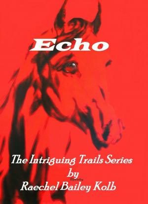 Book cover of Echo