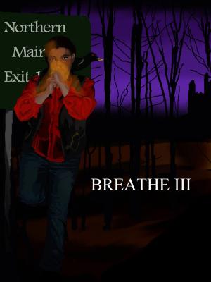 Cover of the book Breathe III by Ed Kauffman
