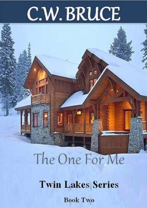 Book cover of The One For Me: Twin Lakes Series Book 2