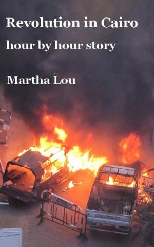 Book cover of Revolution in Cairo (hour by hour story)