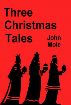 Book cover of Three Christmas Tales