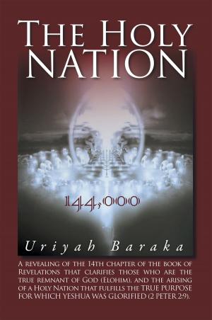 Book cover of The Holy Nation