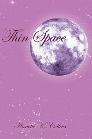 Cover of the book Thin Space by Desiree Naujock