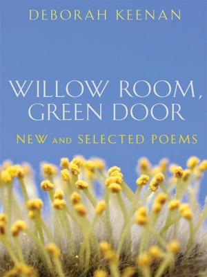 Cover of the book Willow Room, Green Door by Natasha Friend