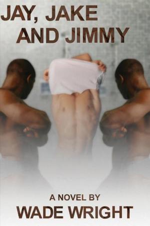 Cover of the book Jay, Jake and Jimmy by Taylor Ryan