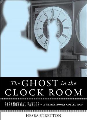 Cover of the book The Ghost in the Clock Room by Gail McMeekin
