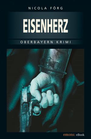 Cover of the book Eisenherz by Ty Hutchinson