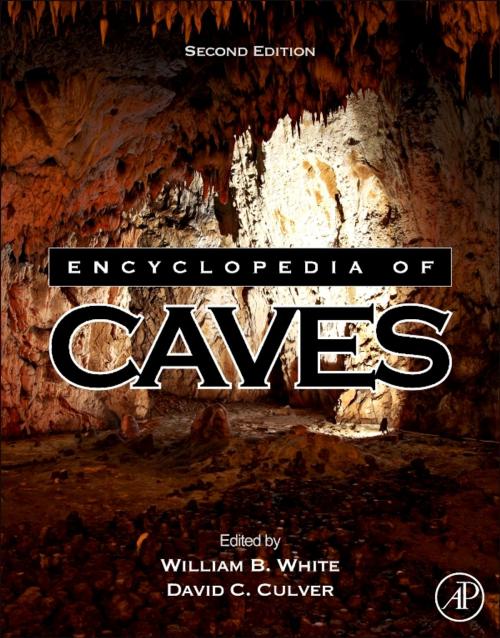 Cover of the book Encyclopedia of Caves by , Elsevier Science