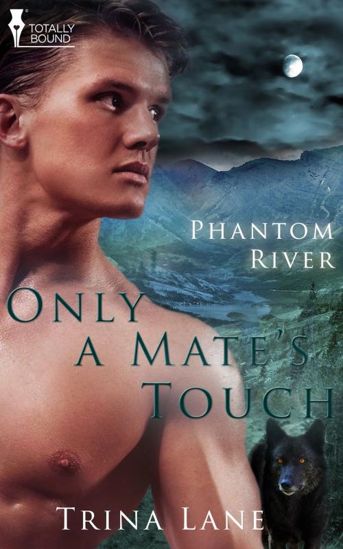 Cover of the book Only a Mate's Touch by Trina Lane, Totally Entwined Group Ltd