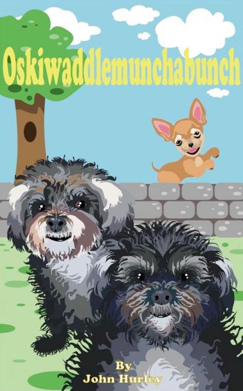 Cover of the book Oskiwaddlemunchabunch by John Hurley, John Hurley