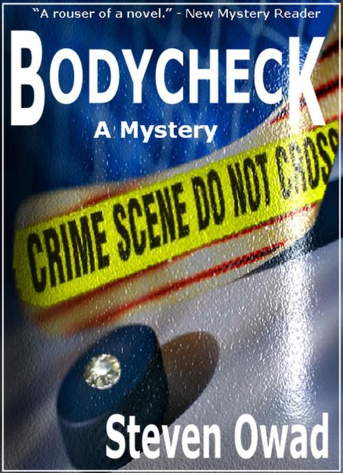 Cover of the book Bodycheck by Steven Owad, Steven Owad