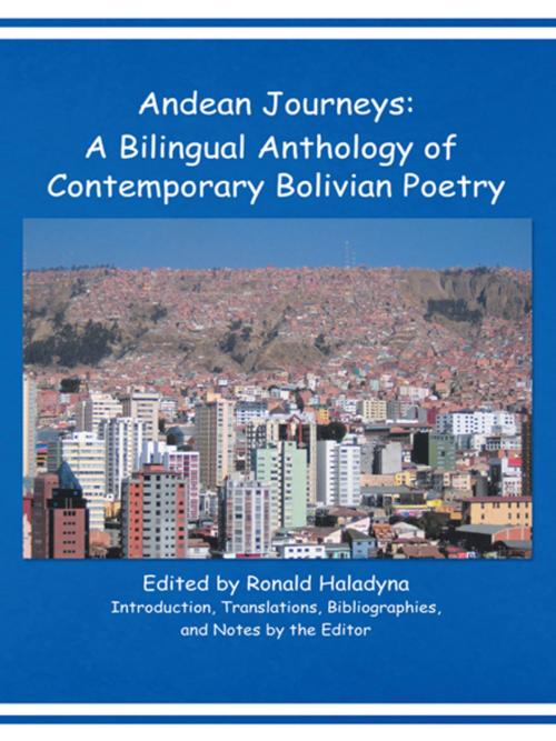 Cover of the book Andean Journeys: a Bilingual Anthology of Contemporary Bolivian Poetry by , Trafford Publishing