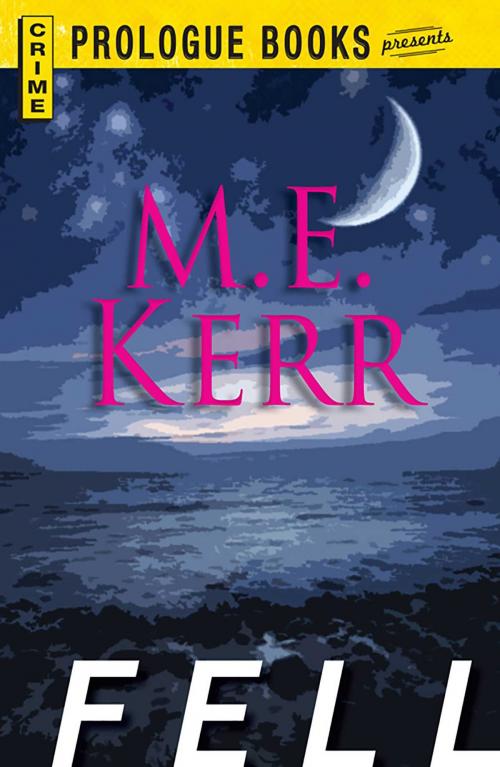 Cover of the book Fell by M.E. Kerr, Adams Media