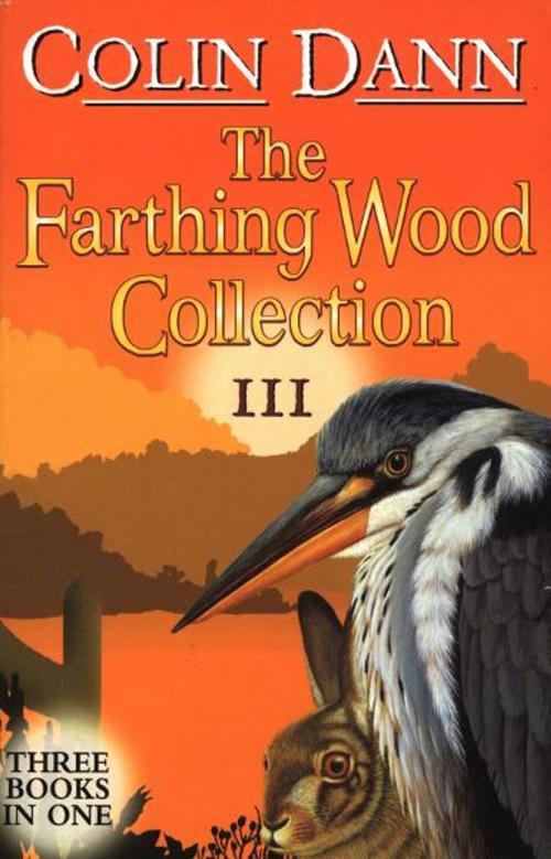 Cover of the book Farthing Wood Collection 3 by Colin Dann, RHCP