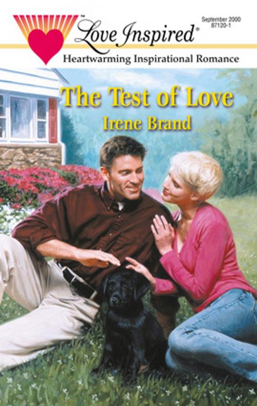 Cover of the book THE TEST OF LOVE by Irene Brand, Harlequin