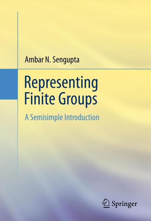Cover of the book Representing Finite Groups by Ambar N. Sengupta, Springer New York