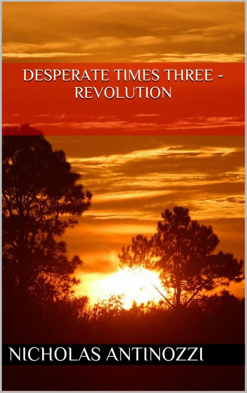 Cover of the book Desperate Times Three: Revolution by Nicholas Antinozzi, Nicholas Antinozzi