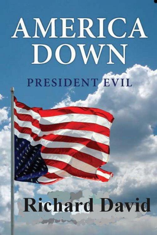 Cover of the book America Down President Evil by Richard David, Richard David