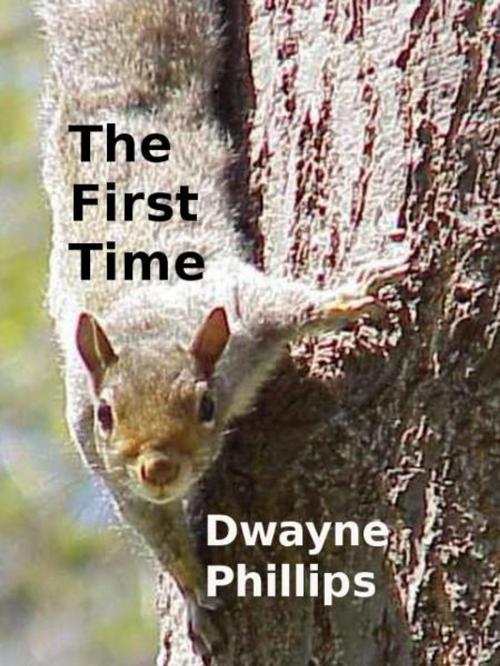 Cover of the book The First Time by Dwayne Phillips, Dwayne Phillips