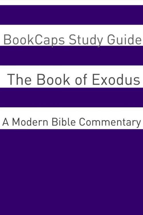 Cover of the book The Book of Exodus: A Modern Bible Commentary by BookCaps, BookCaps