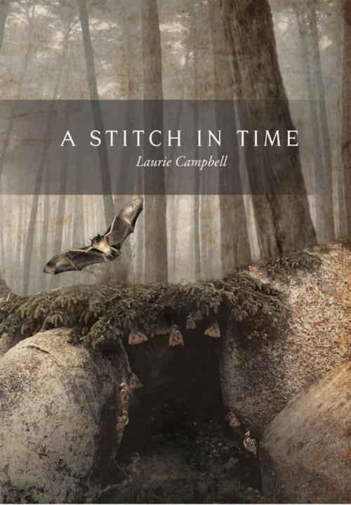 Cover of the book A Stitch in Time by Laurie Campbell, Trafford Publishing