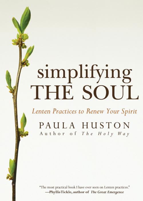 Cover of the book Simplifying the Soul by Paula Huston, Ave Maria Press