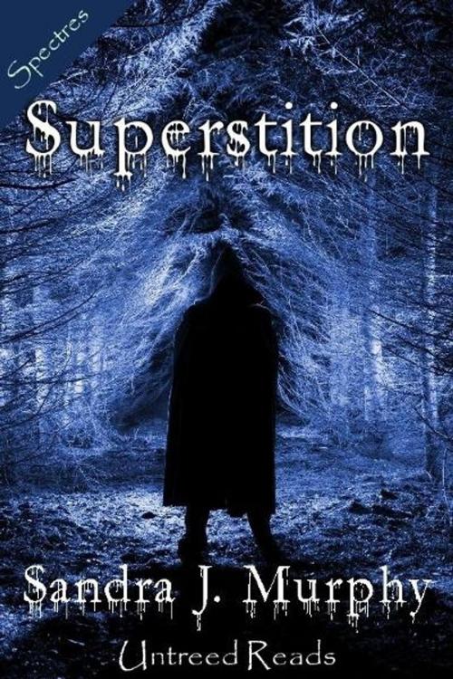 Cover of the book Superstition by Sandra Murphy, Untreed Reads