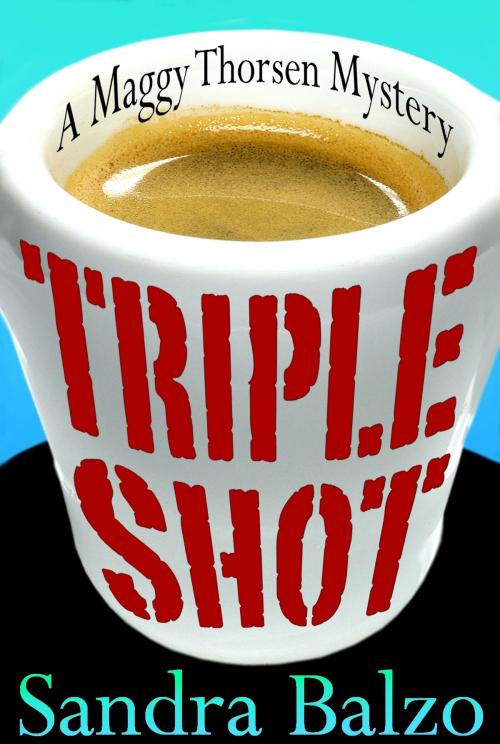 Cover of the book Triple Shot by Sandra Balzo, NYLA