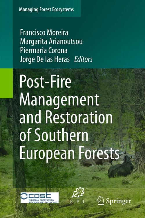 Cover of the book Post-Fire Management and Restoration of Southern European Forests by , Springer Netherlands