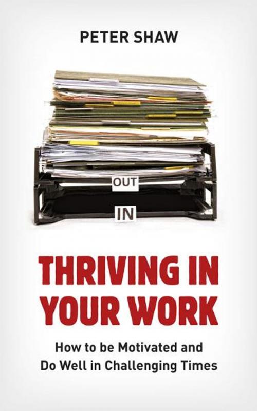Cover of the book Thriving in Your Work by Peter Shaw, Marshall Cavendish International