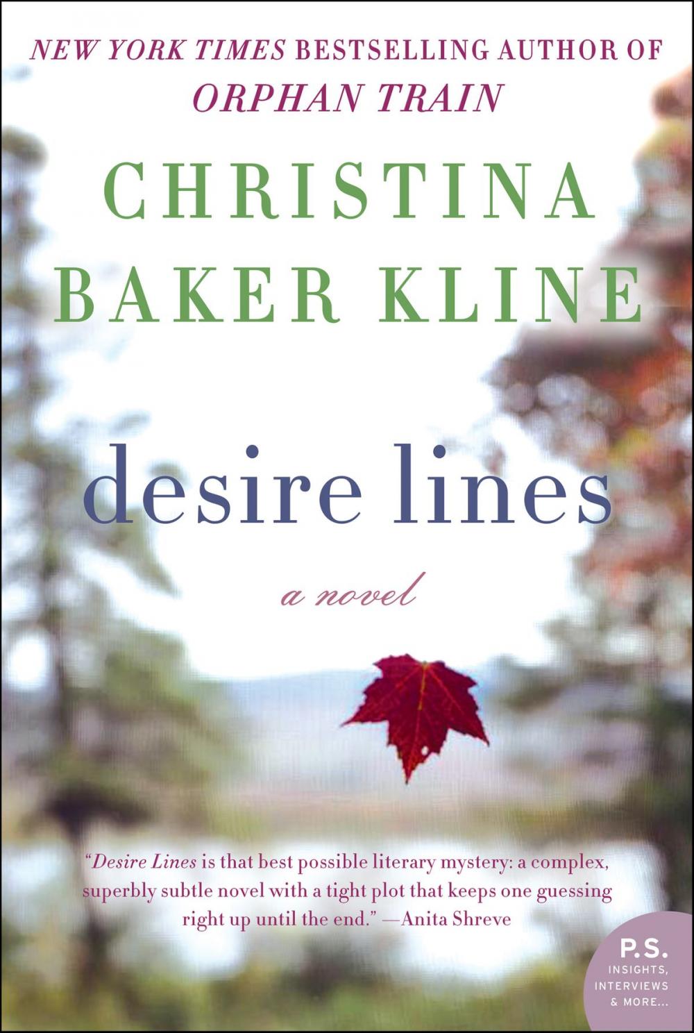 Big bigCover of Desire Lines