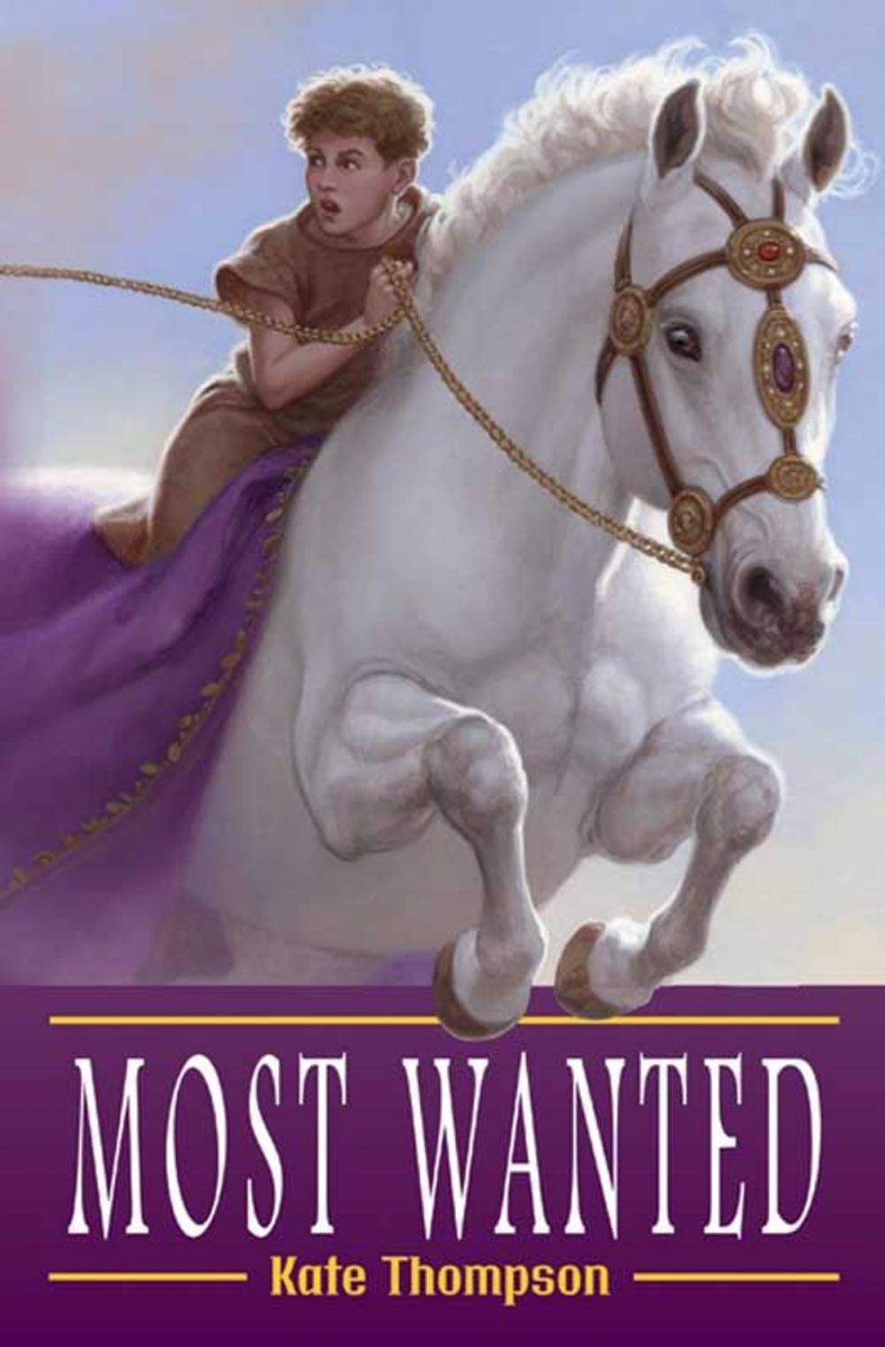 Big bigCover of Most Wanted