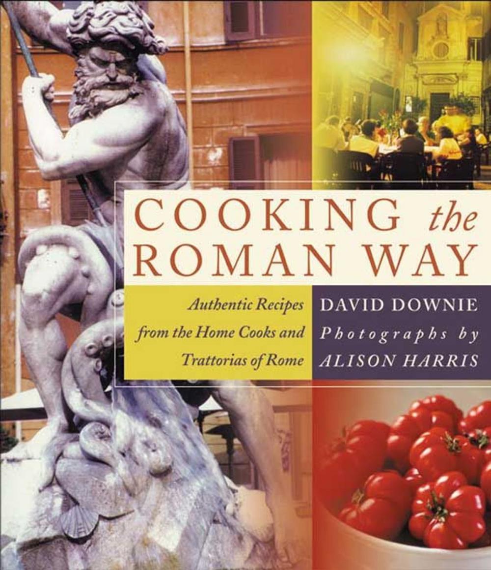 Big bigCover of Cooking the Roman Way