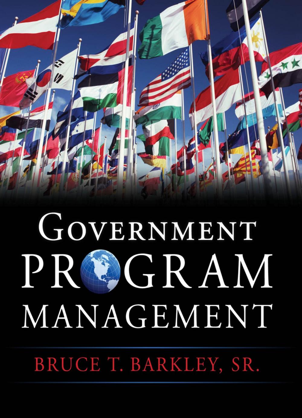 Big bigCover of Government Program Management