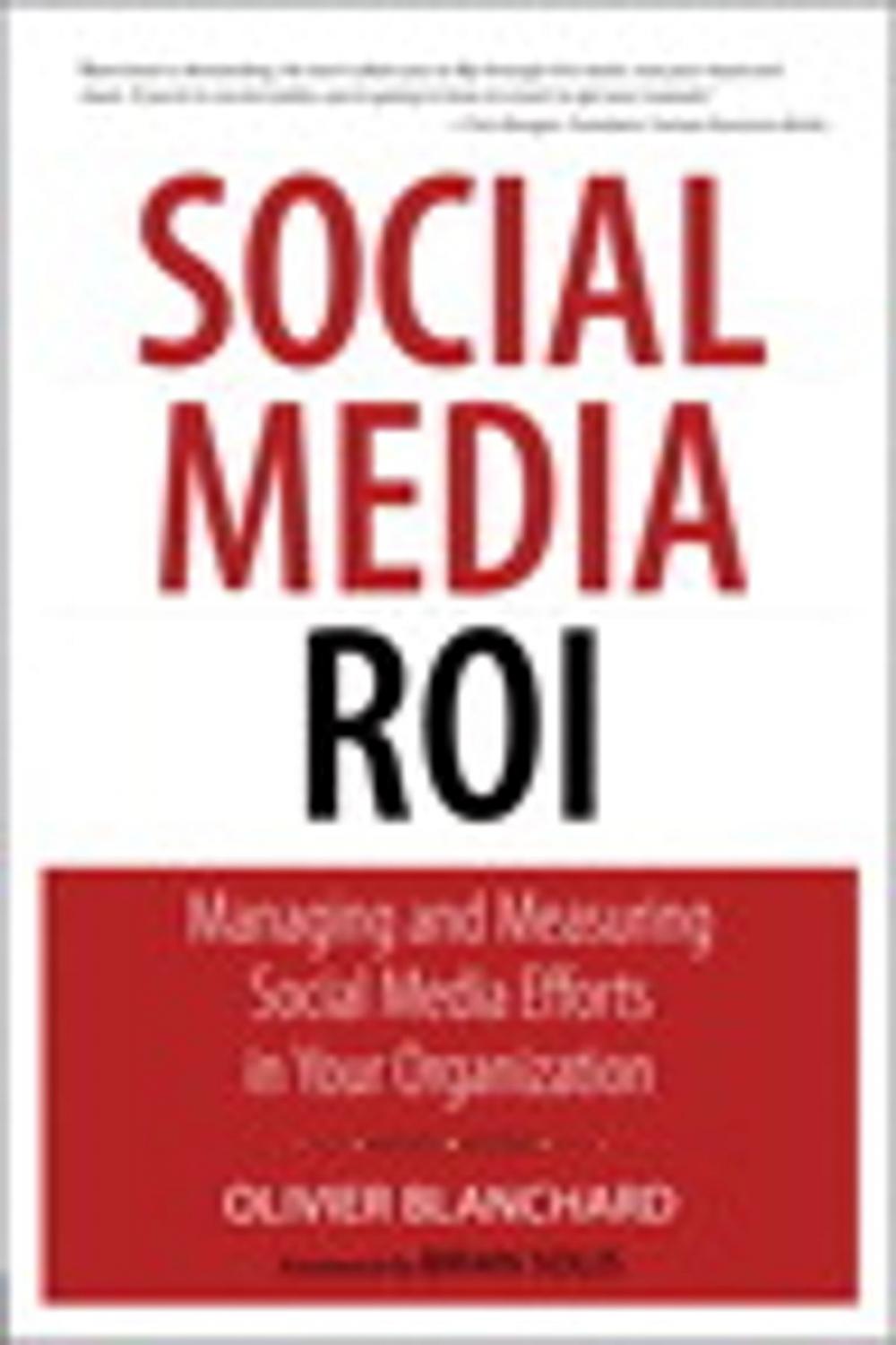 Big bigCover of Social Media ROI