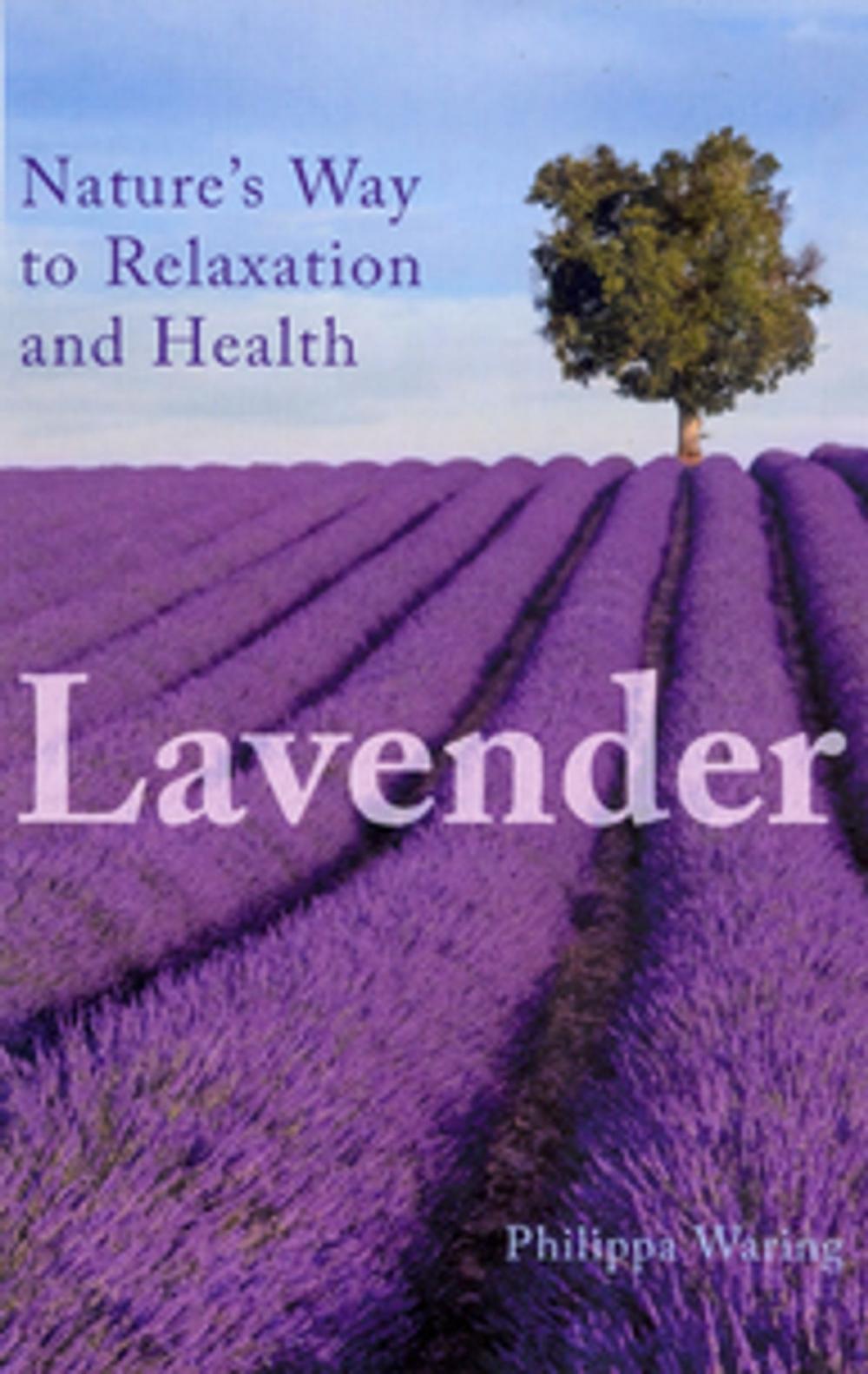 Big bigCover of Lavender