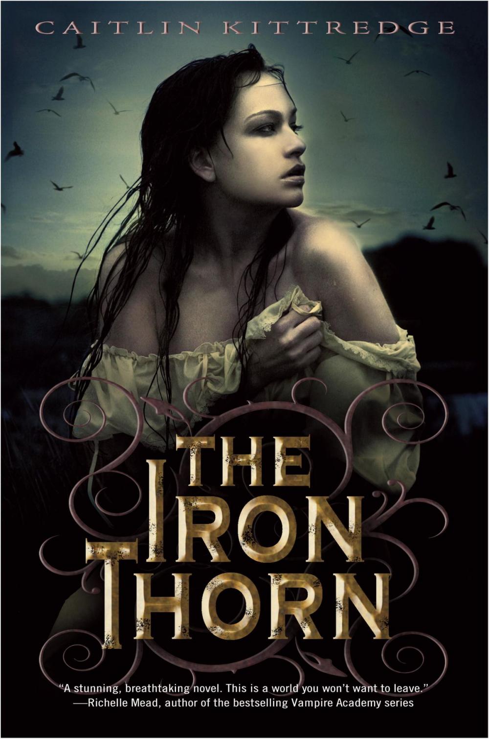 Big bigCover of The Iron Thorn The Iron Codex Book One