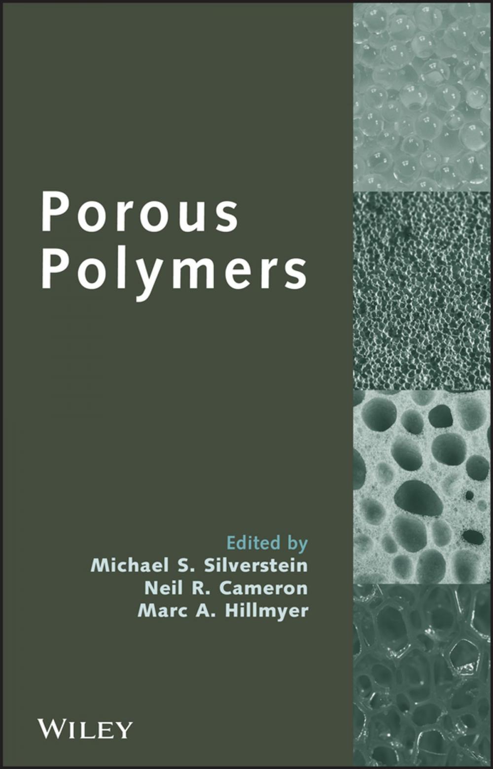 Big bigCover of Porous Polymers