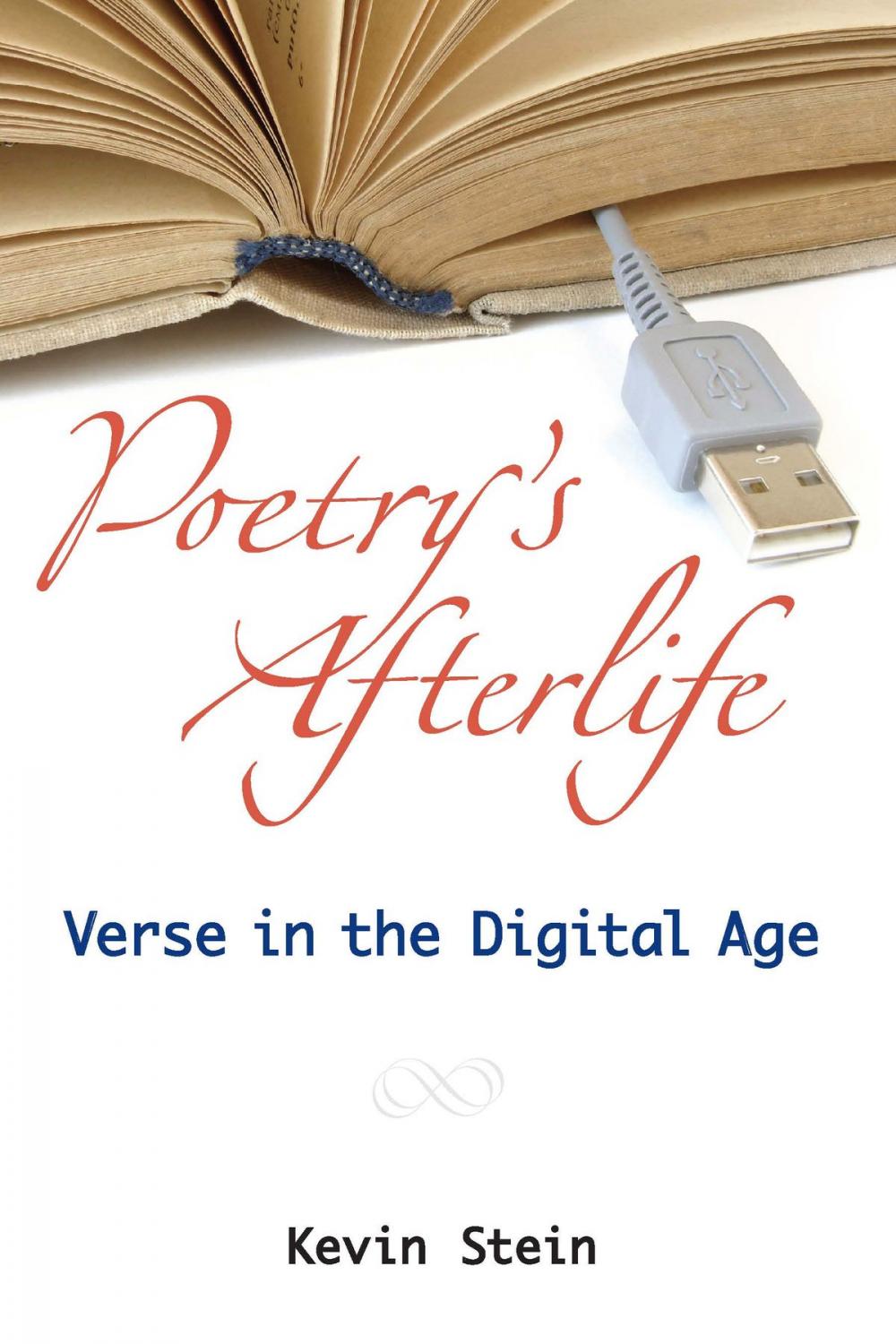 Big bigCover of Poetry's Afterlife