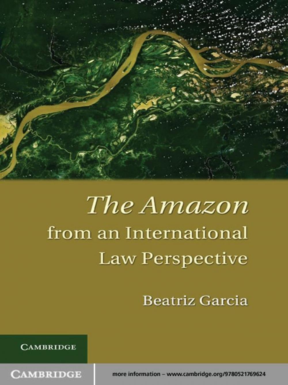 Big bigCover of The Amazon from an International Law Perspective