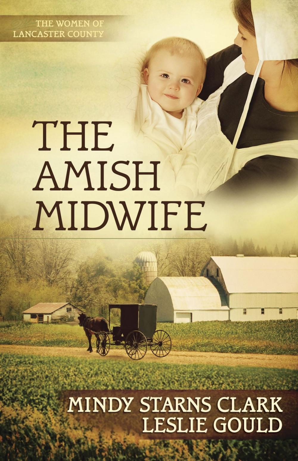 Big bigCover of The Amish Midwife