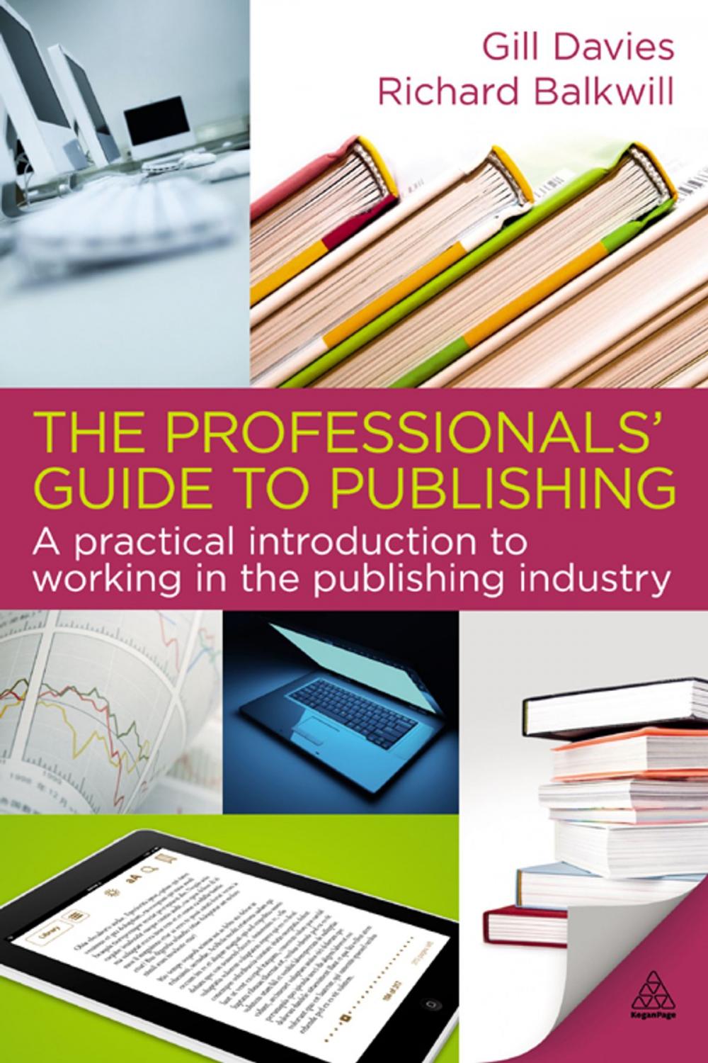 Big bigCover of The Professionals' Guide to Publishing