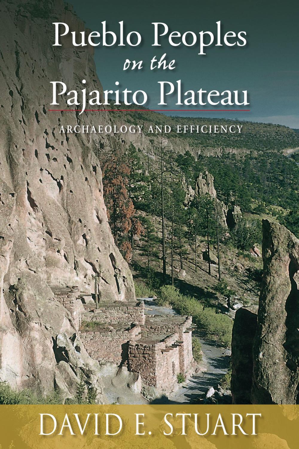 Big bigCover of Pueblo Peoples on the Pajarito Plateau: Archaeology and Efficiency